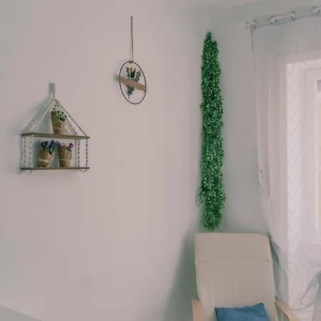 Apartment Ama 5 Minuti Dal Colosseo *
